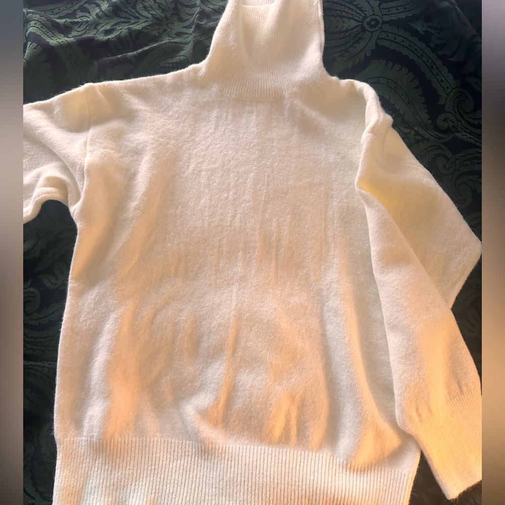 Chic Ivory Turtleneck Sweater
